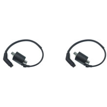 2X Nieuwe Bobine en Draad 22012 Past voor Linhai 260 300 400 500 520 550 EFI ATV Quad UTV