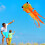 Goldfish Kite Software Outdoor Flying 6