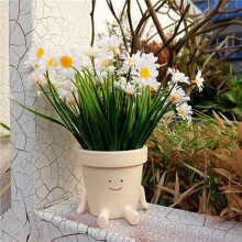 Smile Face Planter Pot Funny Plant Pot for Indoor Outdoor Plants Cute Planters Decorative Unique Face Flower Pot B