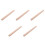 5Pcs Wood Poster Tubes Cylindrical Document Organizer with Cap 5