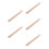 5Pcs Wood Poster Tubes Cylindrical Document Organizer with Cap 7