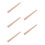 5Pcs Wood Poster Tubes Cylindrical Document Organizer with Cap 8