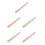 5Pcs Wood Poster Tubes Cylindrical Document Organizer with Cap 9