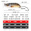 Bass Salmon Metal Spinner Lure Set 12