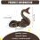 Children'S Toy Snake Model Simulation Reptile  Python  Python Wild Animal Snake Model 7