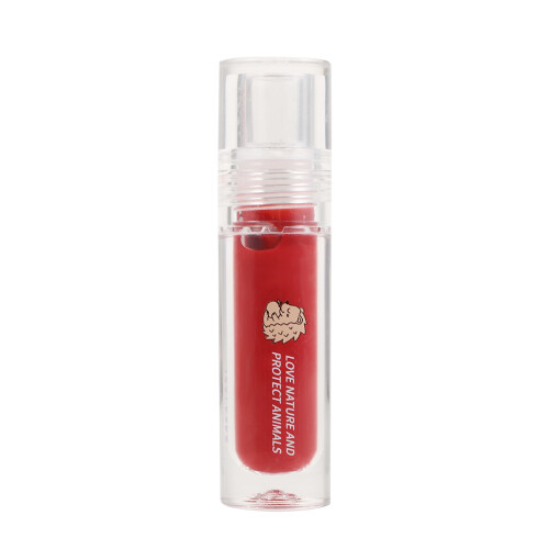 5Pièces Gloss À Liquide Multi Et Hydratant 2