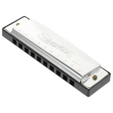 Blues Harmonica C, 10 Hole 20 Tone Diatonic Mouth Organ Key of C Stainless Steel, Thanksgiving Xmas Easter Gift for Adults, Kids, Beginners, Gifts &
