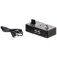 TC Electronic DITTO STEREO LOOPER Highly Intuitive Looper Pedal with Stereo I/O and Loop Import/Export, Compatible with PC and Mac