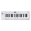 Arturia - Keystep MK2 - Portable MIDI Controller, Sequencer and Arpeggiator - 32 Slimkeys, OLED Display, Polyphonic Step Sequencer, 16-Mode Arpeggiat 1