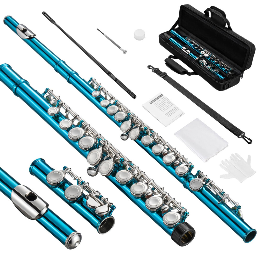 Pogolab Flute, Closed-Hole C Flute 16 Keys, Student Flute With Offset