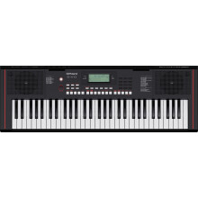 Roland E-X10 Keyboard | 61-Note Piano Ideal for Beginners & Lessons | 600+ Tones | Stereo Speaker System | 140 Onboard Songs | MIDI Control via USB P