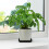 20Pièces Plateau Pour Plantes D'intérieur Résine Durable 9