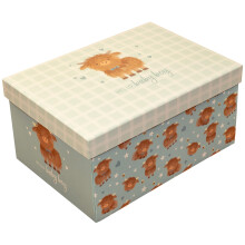 Design By Violet “Hello Baby Boy” Keepsake Gift Box – Blue Highland Cow Newborn Memory Box for Baby Shower, Christening & New Baby Presents –