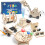 STEM Toys Age 8+, Wooden Engineering Science Experiments kit(6 Pack Set) 1