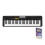 Casio Casio CT-S100AD 61 Key Portable Electronic Keyboard in Black with AC A 1