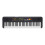 Yamaha Yamaha PSR-F52 Digital Keyboard,Compact digital keyboard for beginners 1
