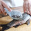 2Pièces Racleurs Poisson Bleu Nettoyage Rapide Sécurisé 10