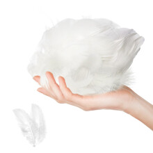 100 Pcs Feathers for Crafts, Colorful Feathers, Natural Goose Feathers for DIY Handma