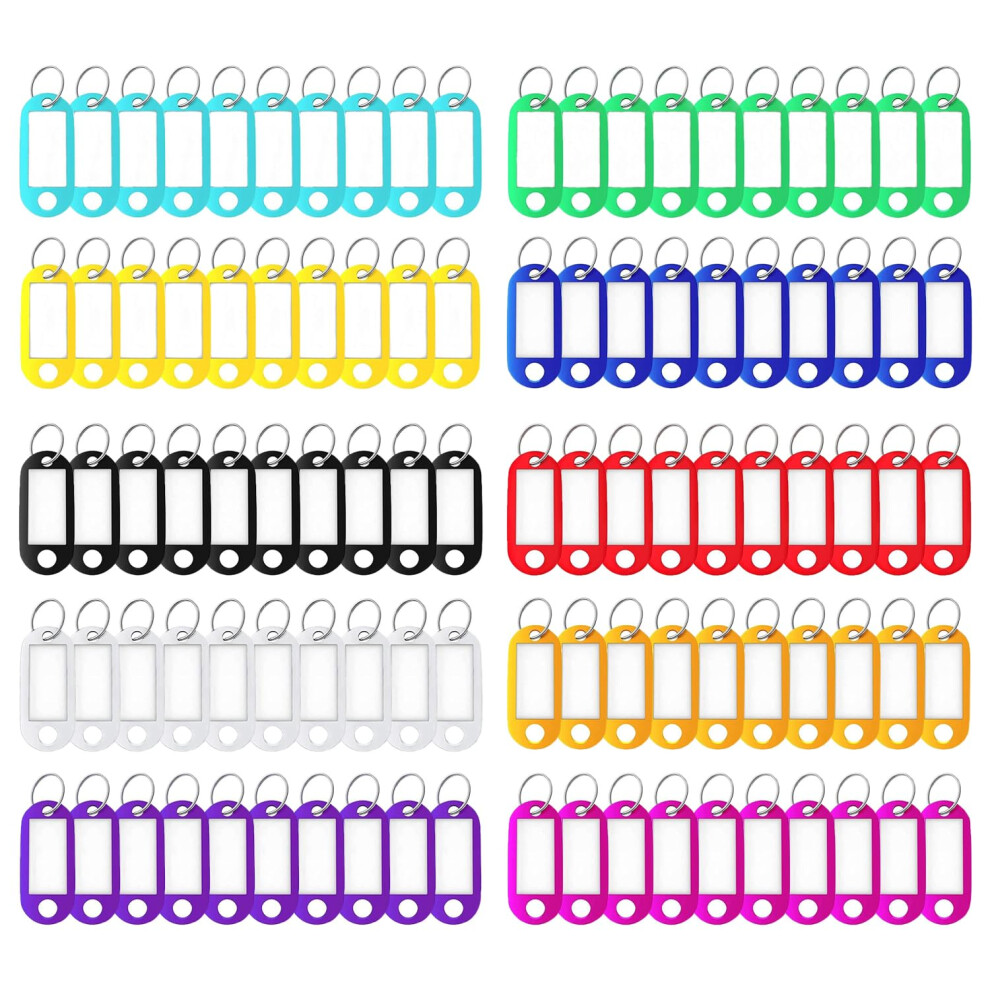 Key Tags With Labels 100Pcs Key Fobs With Labels Key Rings With Tags Multi Coloured E 77114532