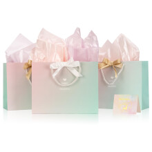 New Pink Gift Bag Medium, 3pcs Pink Present Bags with 6 Tissue Papers and 3 Cards, Su