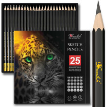 Drawlish Drawing Pencils for Artists - 25 Grades (14B to 10H) Sketching Pencils Set C