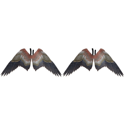 2Pièces Accessoires Ailes D'aigle Non Coloré Durable 1