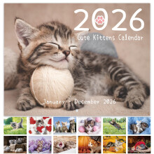 2026 Wall Calendar - 2026 Cute Kittens Calendar from January 2026 to December 2026, C