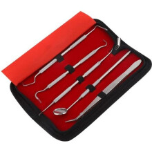 Kit de limpieza dental profesional - DELAMAN - 5 herramientas de acero inoxidable - Autoclavable y esterilizable