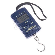 Vaaka 10 g 40 kg kala