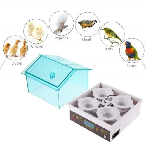 Mini incubatrice automatica per polli, anatre, ovaiole, incubatrice per 4 uova