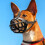 BingoPaw Silicone Anti-Bark Muzzle, 34-37 cm, for Medium and Large Dogs 1