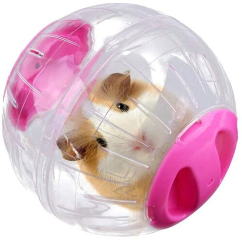 Exercise Ball - Unspecified - Hamster - Pink - Plastic - 12 cm