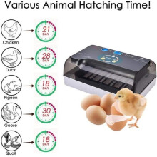 Incubadora de huevos Yangbaga - Iluminación LED - Función de giro automático - Capacidad de huevos: 12 piezas (Manual en inglés).