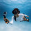 For  Osmo Action 6 Waterproof Case 60-Meter Depth 6 Diving Accessory Kit Waterproofing Accessories 4