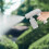Automatic Electric Spray Bottle Atomizing Spray with Rotating Nozzle for Indoor and Outdoor Use 2