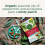 Traditional Medicinals, Οργανική Θωράκιση Σωλήνα, Ευκάλυπτος Μαντίνια, 16 Μενθόλη Σπαράγματα 4
