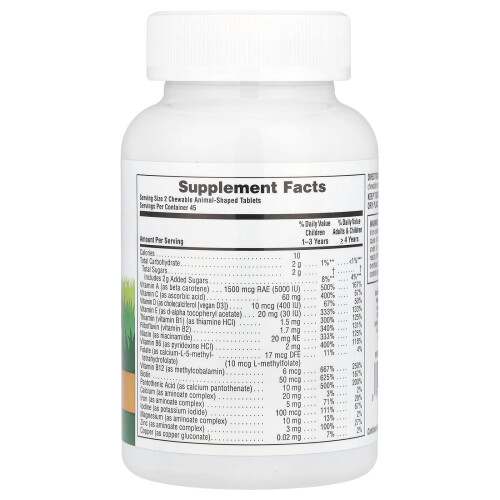 NaturesPlus, Animal Parade, Kinderen's Eetbare Multivitamine, Assorted, 90 Dier-gevormde Tabletten 1