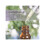 NOW Foods Essential Oil, Cypress Oil - 30 ml. 4