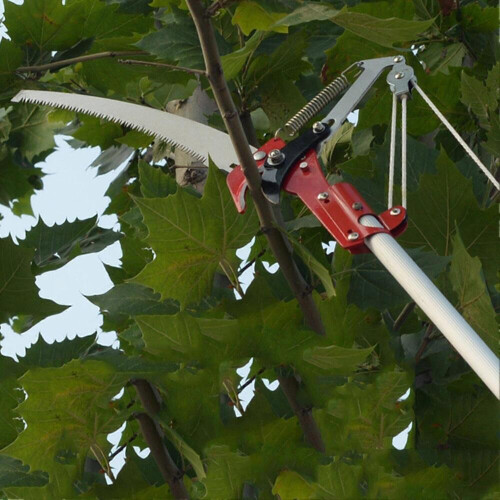 2. Scharfe Räder, Gartenschere, Baumschere, Gartenscheren 1
