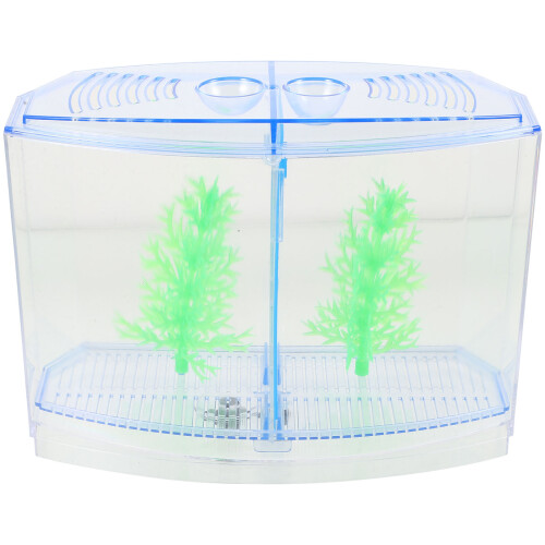 Blue Plastic Fish Tank Isolation Box Safe Breeding Container
