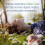 Garden of Life, RAW Προβιοτικά, Σωλήνων Φροντίδας, 30 Βοηθητικά Φιάλες 4