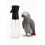 Extreme Mistmaker -  Atomizer Do Kąpieli Papug 300Ml 5