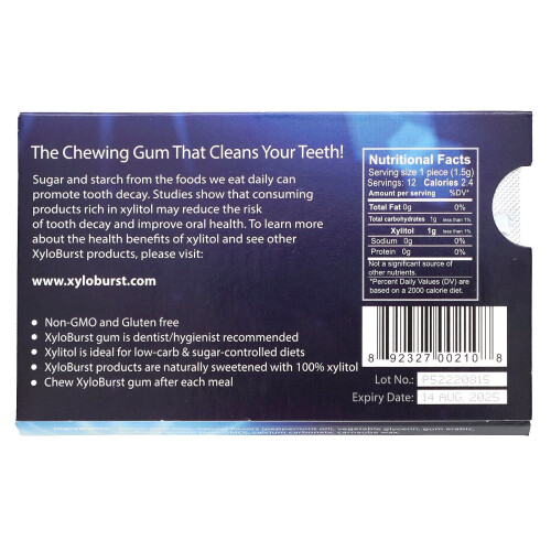 Xyloburst, Xylitol Γάμμα, Peppermint, 12 Τμήματα 1