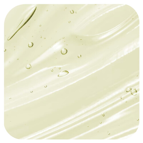Shampoo de Pomegranate y Menta 2