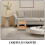 Rampes Pour Petits Chats Seniors Confortable 6