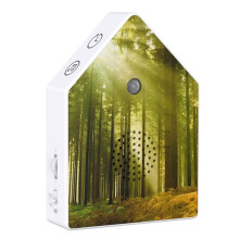 Singing Bird Box White Noise Music Device Timer Bird Chirping Box with Motion Sensor for Home Bedroom Bathroom Yoga B