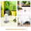 2Pcs Suction Cup Turtle Cleaning Brush ABS Material Gentle 9