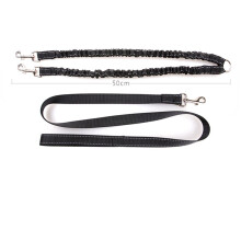 2Pièces Laisse Nylon Noir Résistante Pour Promenade Éducation