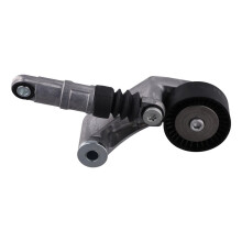 252813A100 Car Generator Belt Tensioner for Veracruz Borrego 2007-2012 252813A000
