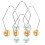 6Paires Dimple Trainer Compact Femmes Pour Exercices 1